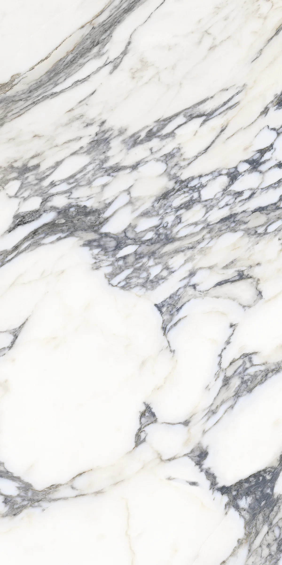 Marmi Arabesque Nero 60x120cm